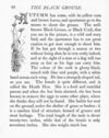 Thumbnail 0091 of The large picture primer