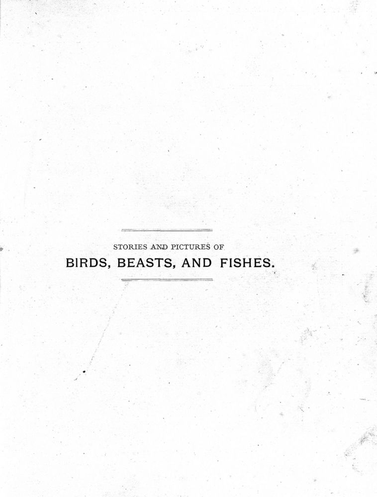 Scan 0005 of Stories and pictures of birds, beasts, fishes, and other creatures