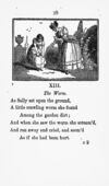 Thumbnail 0031 of The cowslip