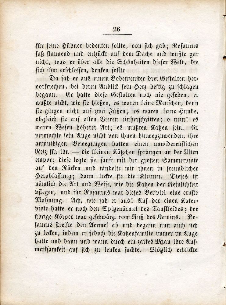 Scan 0036 of Leben und Schicksale des Katers Rosaurus