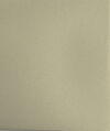 Thumbnail 0002 of The snake that lived in the Santa Cruz Mountains