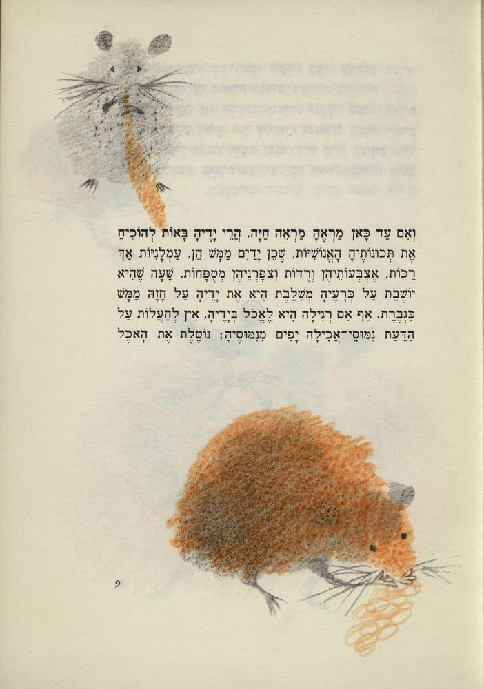 Scan 0013 of חושחושית